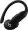 Миниатюра Beats TWS Powerbeats Pro 2 - High-Performance Earbuds - Jet Black (MX723), фото 4