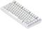 Миниатюра Dark Project ALU81 Terra Nova PBT RGB Mech G3MS Moonstone White DPKB_NOVA_81_ANSI_WHITE_UA, фото 3