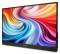Миниатюра Acer Portable Monitor PM161QB1bmiuux Black UM.ZP1EE.101, фото 3