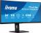 Миниатюра iiyama ProLite XCB3497WQSNP-B1, фото 1