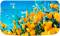 Миниатюра ARTEL TG 70 FP Nature 01, фото 2