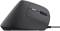 Миниатюра Trust Bayo II Ergonomic Mouse - Black 25144, фото 2