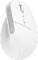 Миниатюра Trust Bayo+ Ergonomic Wireless (25146) White, фото 1