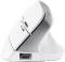 Миниатюра Trust Bayo+ Ergonomic Wireless (25146) White, фото 3