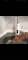 Миниатюра Electrolux Taptronic White, фото 6