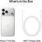 Миниатюра Apple iPhone 17 Pro Max 256GB SIM + eSIM Silver 2025 MFYM4, фото 2