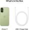 Миниатюра Apple iPhone 17 512GB eSIM Sage 2025 MG4Q4 / MG6H4, фото 2