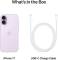 Миниатюра Apple iPhone 17 512GB eSIM Lavender 2025 MG4J4 / MG6G4, фото 2