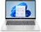 Миниатюра HP Laptop 17-cp2216nw Natural silver C39NBEA, фото 4