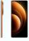 Миниатюра Vivo X100 Pro 12/256GB Sunset Orange, фото 2