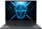 Миниатюра Thunderobot R16 Black R16-i7136HX56C1Q180RG, фото 2