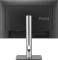 Миниатюра ASUS ProArt Display PA248QFV Gen2 Professional Monitor 90LM05K1-B01K71, фото 3