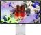 Миниатюра Apple Studio Display XDR 27-Inch (Retina 5K, 120 Hz) with standard glass and a VESA mount (instead of a stand) A3348 2026 MFEN4, фото 1