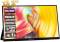 Миниатюра Zeuslap OL133ED 13.3' OLED Portable Monitor, фото 1