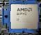 Миниатюра AMD EPYC 9135 Tray 100-000001150, фото 1