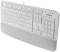 Миниатюра A4Tech FK20 USB UA White 4711421003216, фото 1