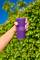 Миниатюра JBL Grip Purple JBLGRIPPUR, фото 17