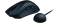 Миниатюра Razer DeathAdder V4 Pro Wireless/USB Black RZ01-05330100-R3G1, фото 3