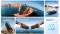 Миниатюра ANKER SoundСore Boom 3i Black D5100010, фото 12