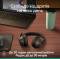 Миниатюра Logitech Zone 305 for Business Bluetooth Black 981-001458, фото 10