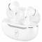 Миниатюра SkyDolphin SDBTE-000189, фото 1