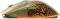 Миниатюра SteelSeries CS2 Dragon Lore Edition RGB Wireless/Bluetooth 62614, фото 4