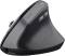 Миниатюра Trust Bayo 2 Ergonomic Wireless/USB-A Black 25145, фото 1