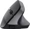 Миниатюра Trust Bayo 2 Ergonomic Wireless/USB-A Black 25145, фото 3