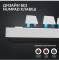 Миниатюра Logitech G PRO X TKL Lightspeed Tactile USB UA White 920-012148, фото 4