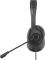 Миниатюра A4Tech FH100U Stone Black 4711421976978, фото 4