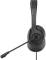 Миниатюра A4Tech FH100i Stone Black 4711421976909, фото 5