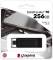 Миниатюра Kingston 256GB DataTraveller 70 USB 3.2 / Type-C DT70/256GB, фото 4