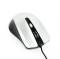 Миниатюра Gembird MUS-4B-01-BS USB Black-Gray, фото 2