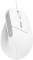 Миниатюра Trust Bayo II Ergonomic USB White 25397, фото 1