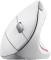 Миниатюра Trust Verto Ergonomic Wireless White 25132, фото 2