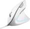 Миниатюра Trust Verto Ergonomic USB White 25133, фото 3