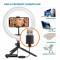 Миниатюра Acclab AL-LR101 2in1 Ring of Light  Holder 1283126502033, фото 2