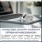 Миниатюра Philips TAT2520WT/00 Wireless White, фото 11