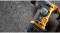 Миниатюра DeWALT безщітковий, SDS PLUS, 18 В, 1.4 Дж, 2 реж. кейс T DCH172NT, фото 10