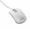 Миниатюра Gembird MUS-4B-06-WS USB White/Grey, фото 2