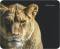Миниатюра Defender Wild Animals 50803, фото 1