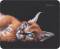 Миниатюра Defender Wild Animals 50803, фото 6