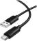 Миниатюра BOROFONE USB 2.0 AM to USB-C 1.0m silicone BX123 Leya black 6941991124211, фото 1