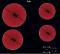 Миниатюра Whirlpool AKT 8090/NE 869990964280, фото 1
