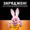 Миниатюра Duracell 5018825/5017764/5016999/5007308, фото 4