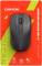 Миниатюра Canyon MW-7 Wireless Black CNE-CMSW07B, фото 6