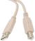 Миниатюра Atcom USB 2.0 AM/BM до принтера, з феритом, 0.8м 6152, фото 1