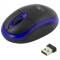 Миниатюра Esperanza Titanum TM116B Black-blue, фото 1