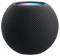 Миниатюра Apple HomePod Mini Gray MY5G2, фото 1