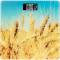 Миниатюра Ardesto SCB-965WHEAT, фото 1